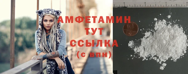 стаф Богданович