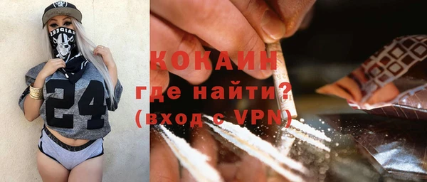 стаф Богданович