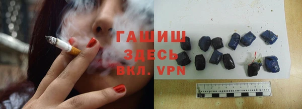 стаф Богданович