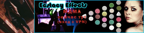 стаф Богданович