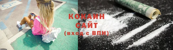 стаф Богданович