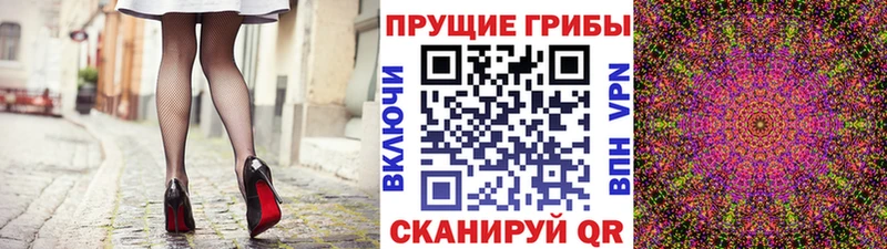 Галлюциногенные грибы Cubensis  Купить  Прохладный 