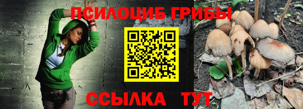 Галлюциногенные грибы ЛСД Прохладный