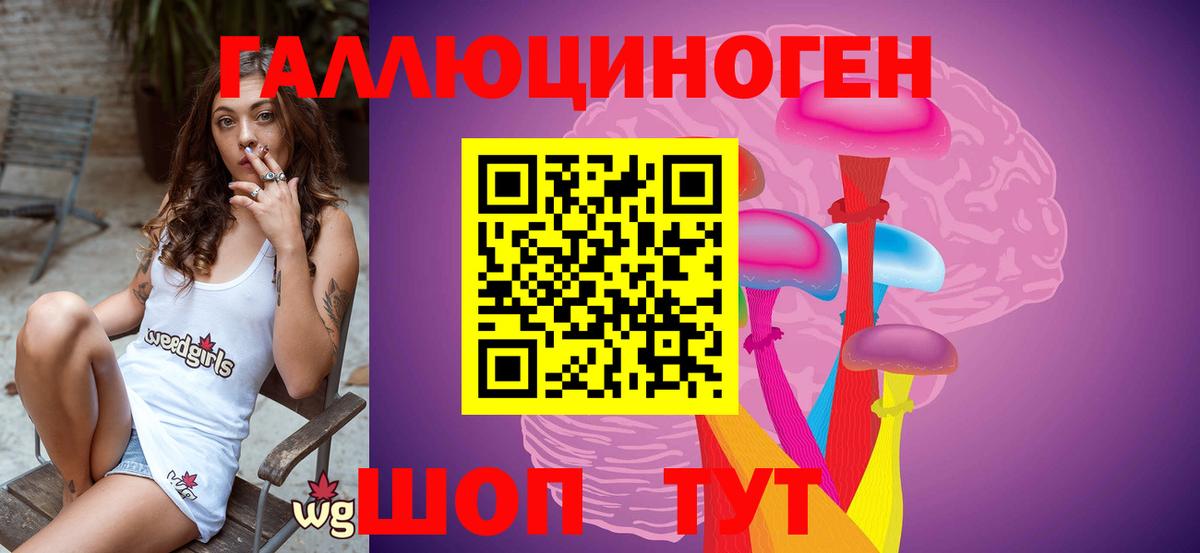 где найти   Прохладный  Галлюциногенные грибы мухоморы 